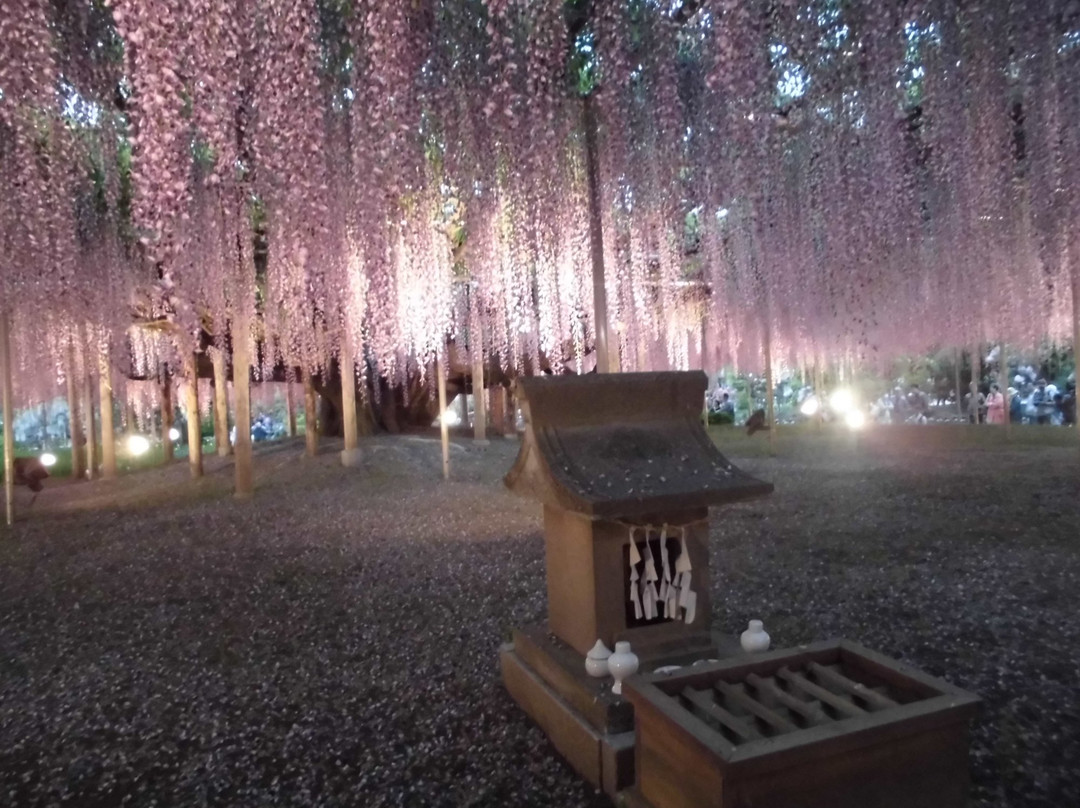 Hotel Select Inn Sano Ekimae主图