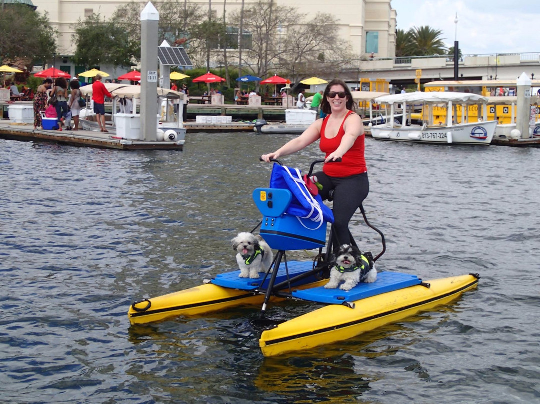 Tampa Bay Water Bike Company-坦帕必去景点