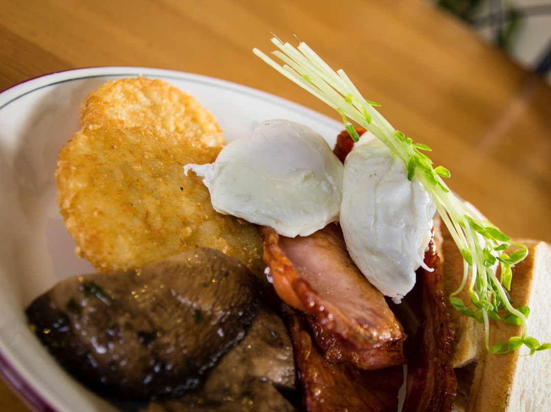 Daintree Village Hotel-Daintree必去景点