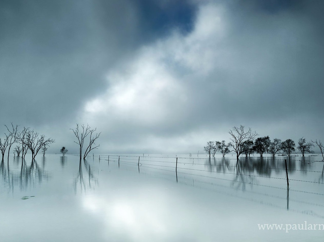 Paul Arnold Gallery-达尔文市必去景点