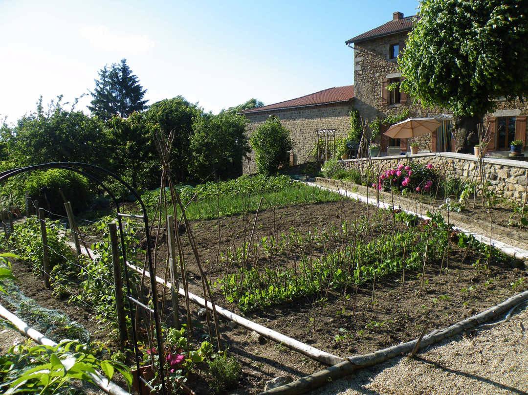 Ferme du Tilleul主图