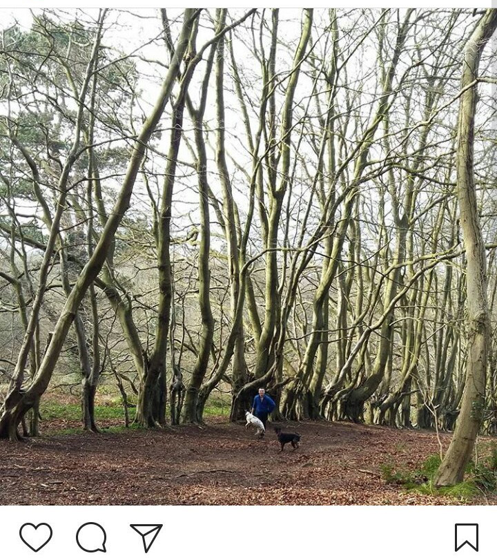 Redburn Country Park-霍利伍德必去景点