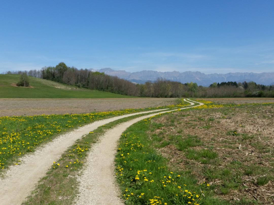 L’ippovia della Valle del Cormor