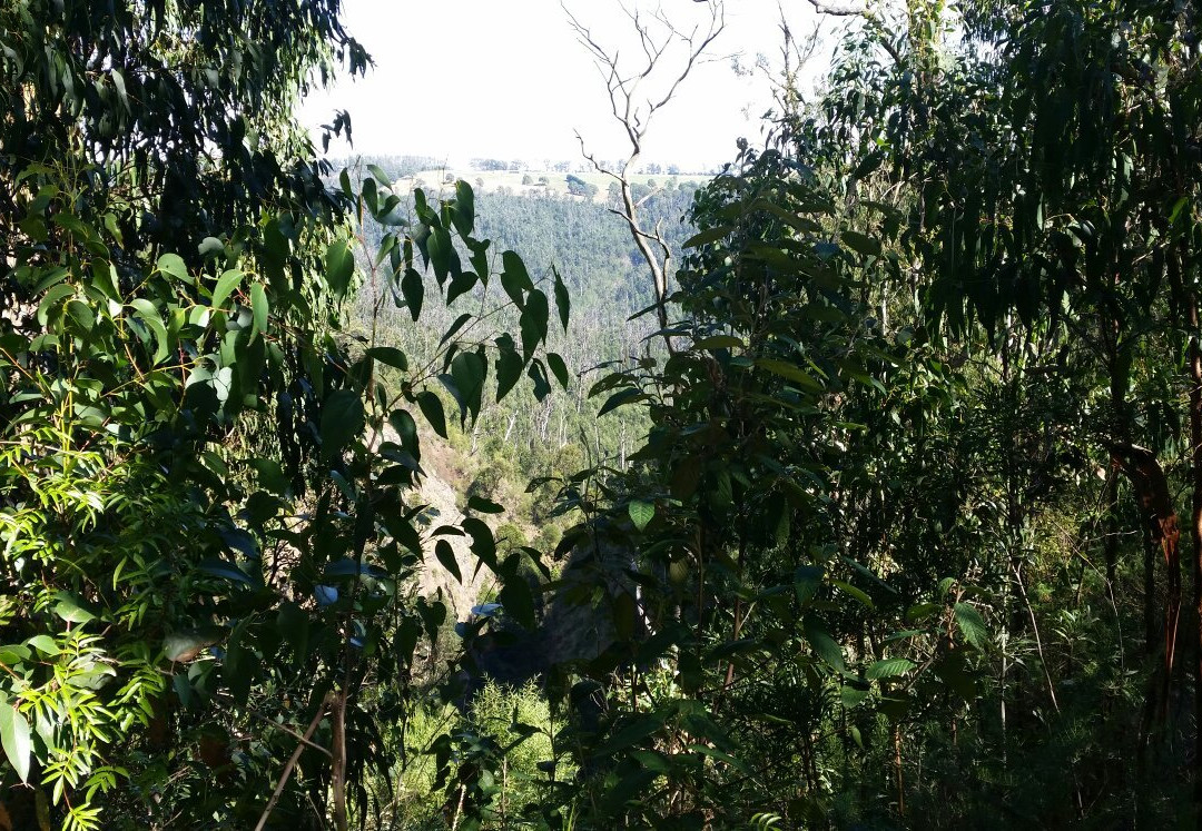 Kinglake National Park-Kinglake必去景点