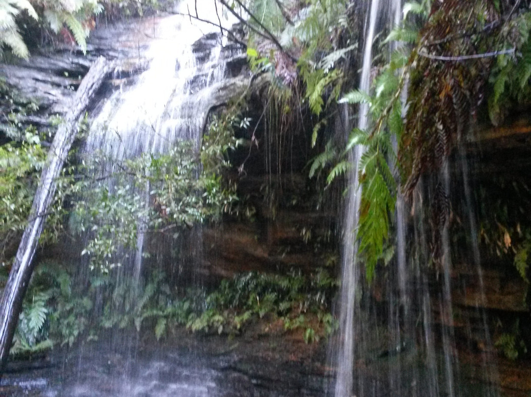 South Lawson Waterfall Circuit景点图片