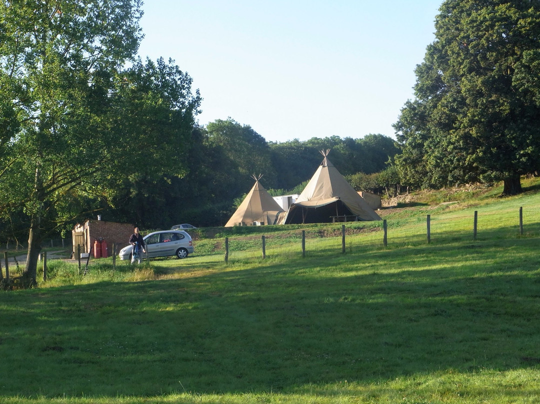 Bedgebury Camping