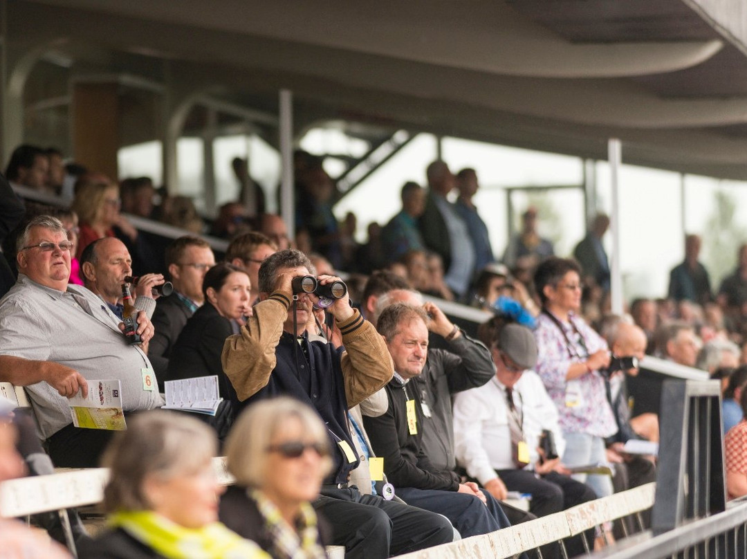 Pukekohe Park-普基寇希必去景点