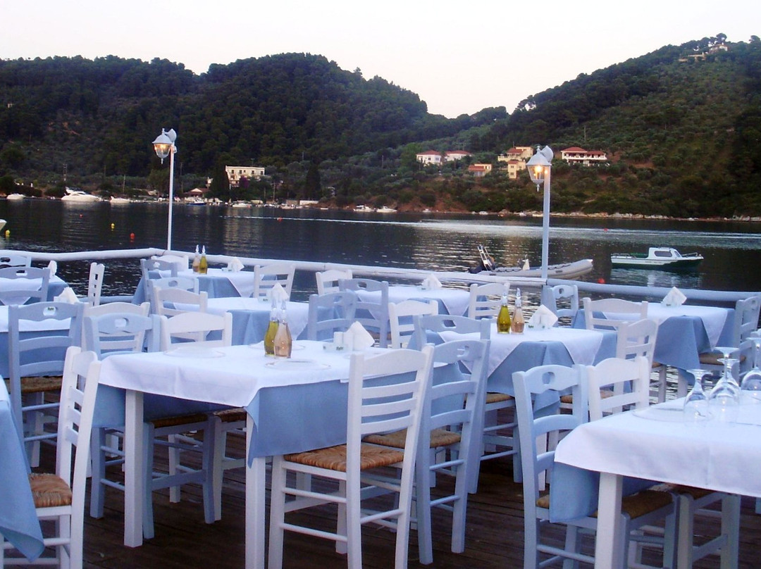 Punta餐馆和美食-Aggeliki Seafood Restaurant