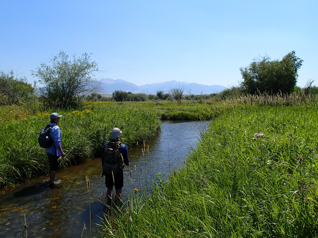 Bozeman Angler-博兹曼必去景点