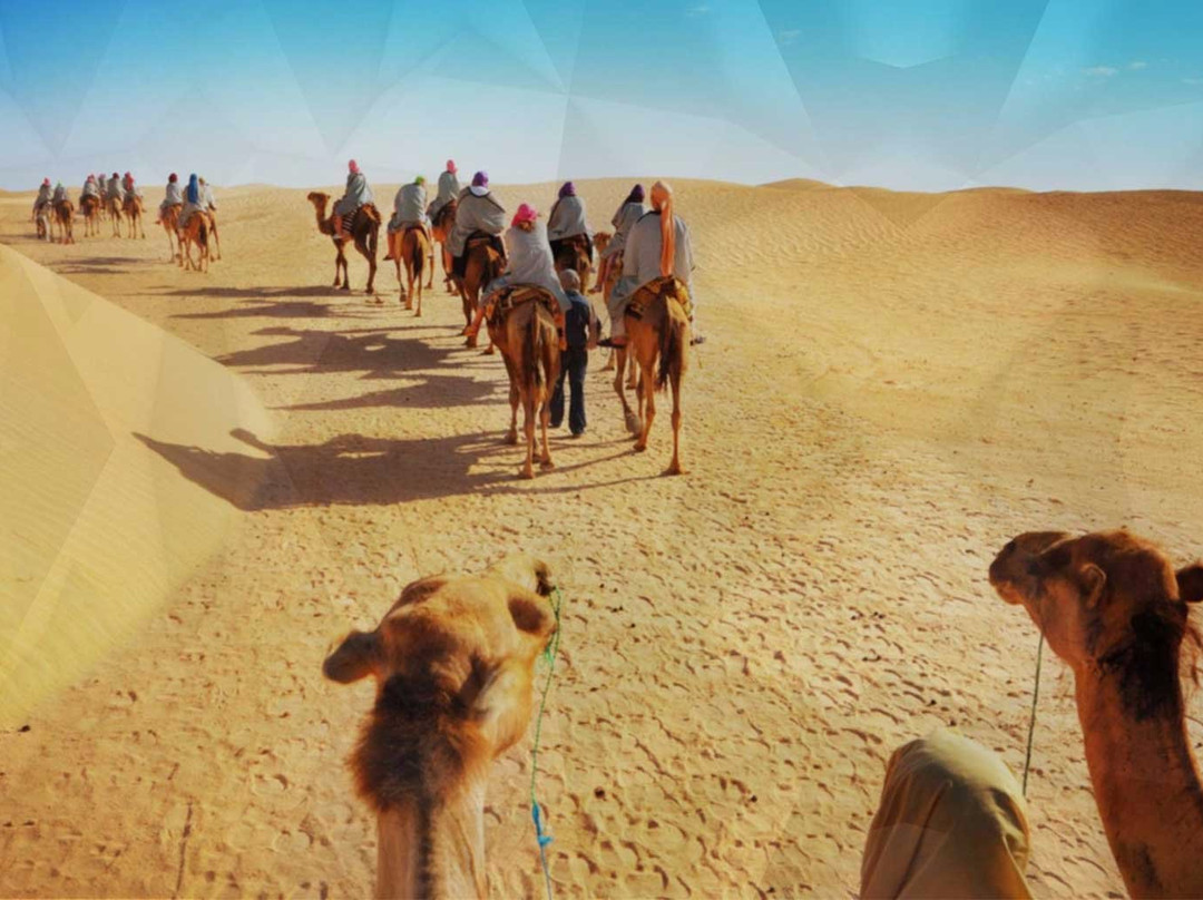 Morocco Live It Tours-非斯必去景点