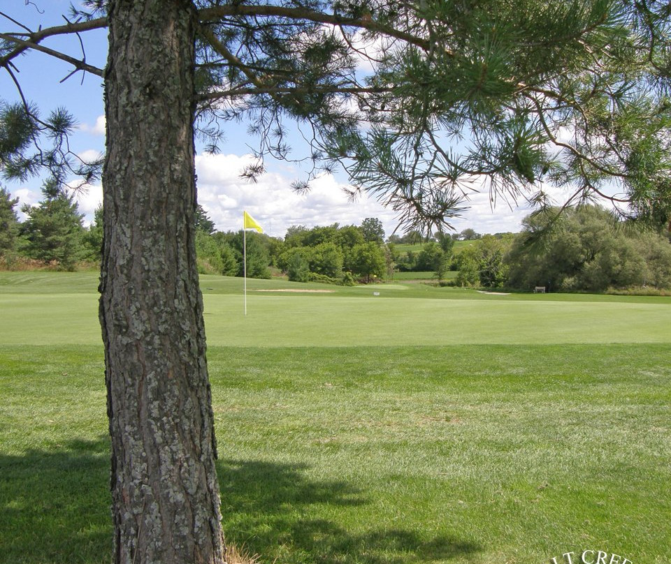 Saltcreek Golf Links景点图片