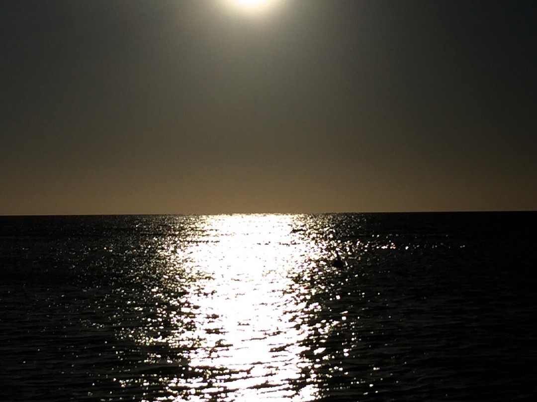 Parsons Beach-维克多港必去景点