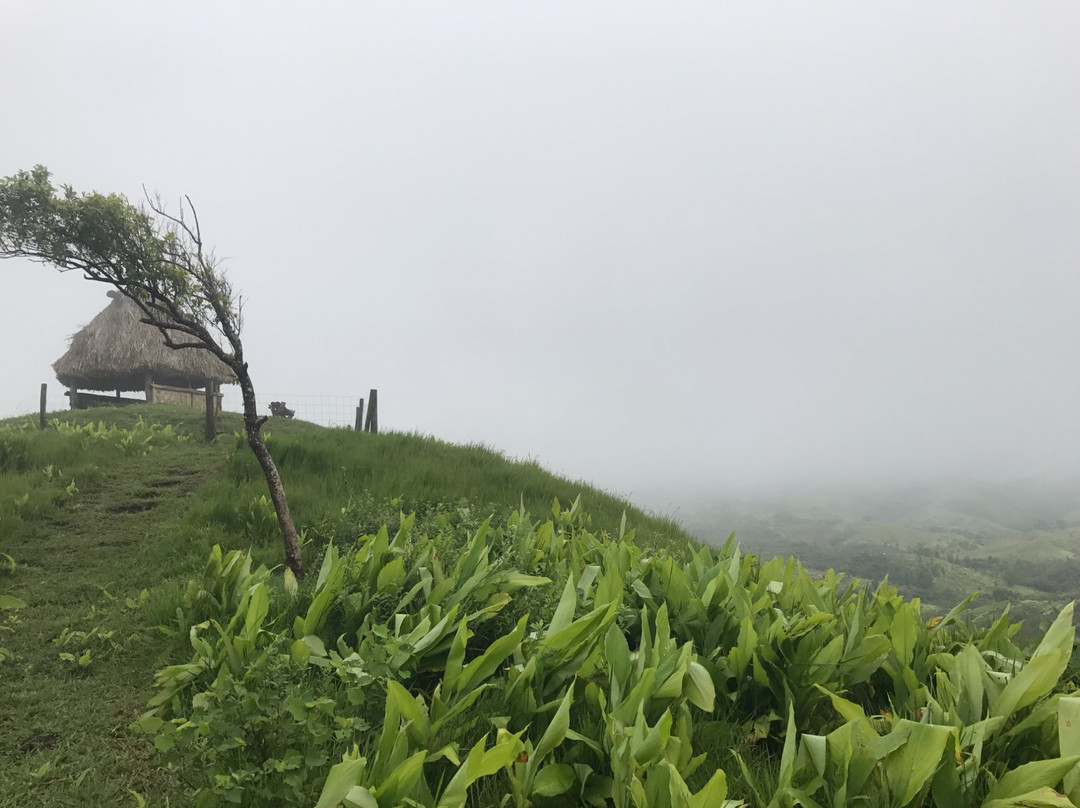 Coral Coast Adventures Fiji Limited景点图片