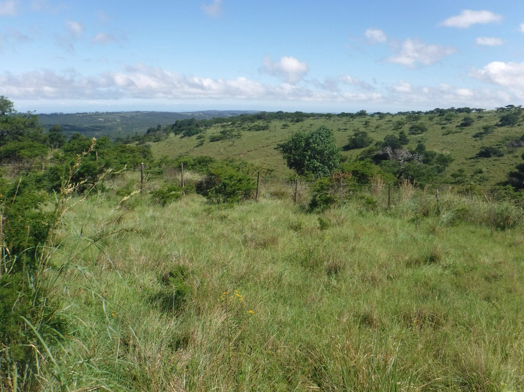 Khaya La Bantu Cultural Village-东伦敦必去景点