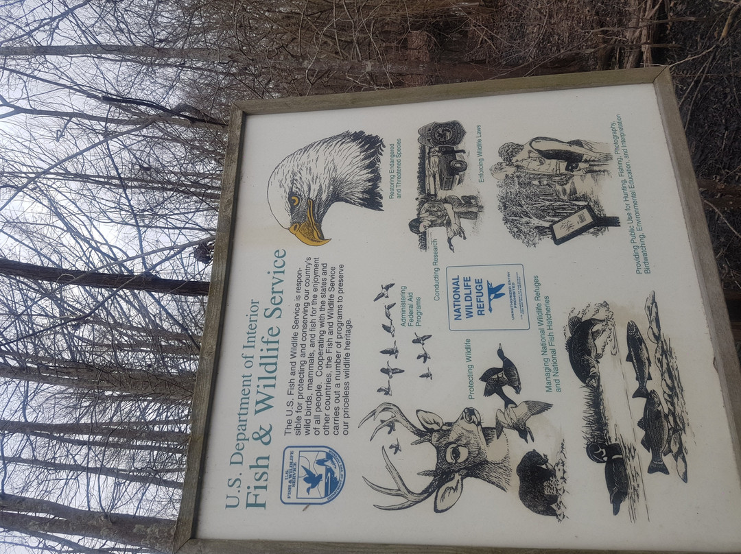 Black Bayou Lake National Wildlife Refuge景点图片