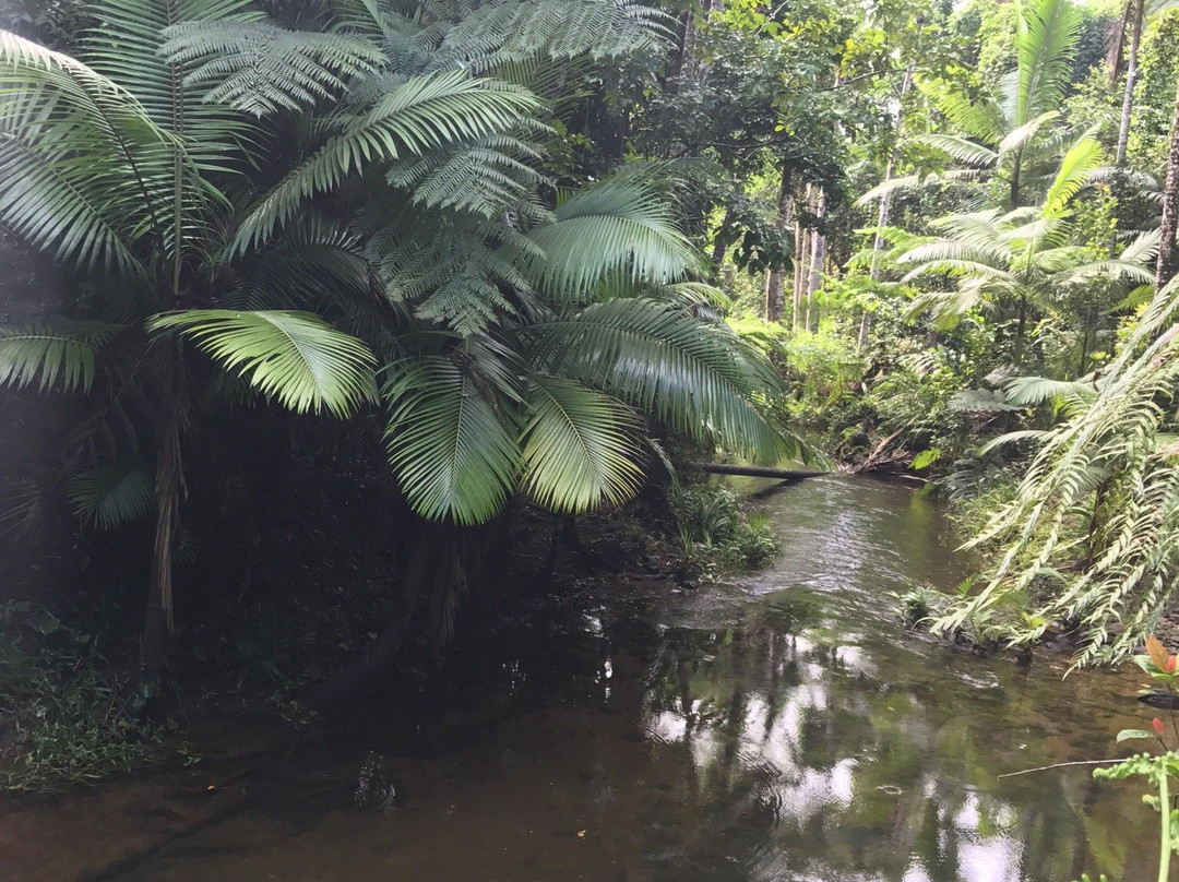 Djiru National Park-翁加灵海滩必去景点