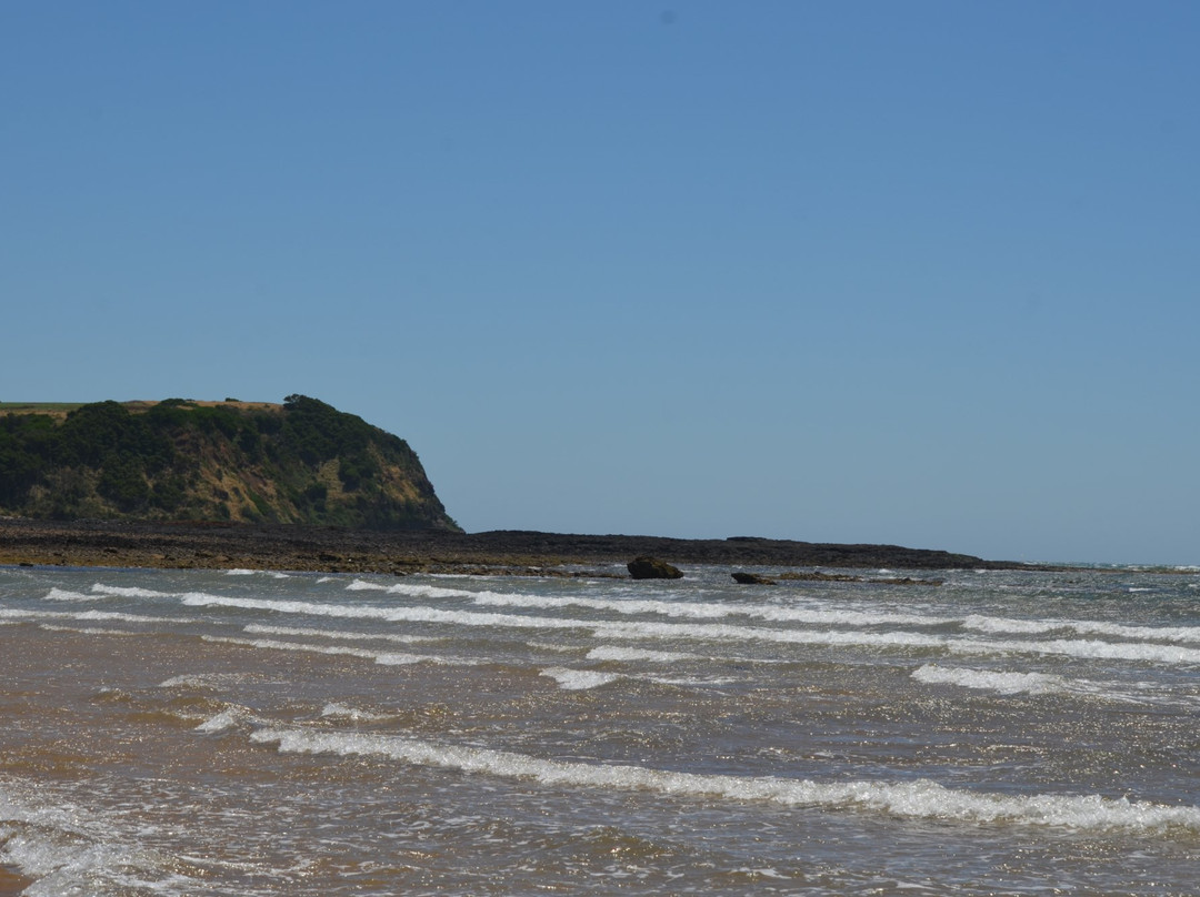 Coles Beach-Devonport必去景点