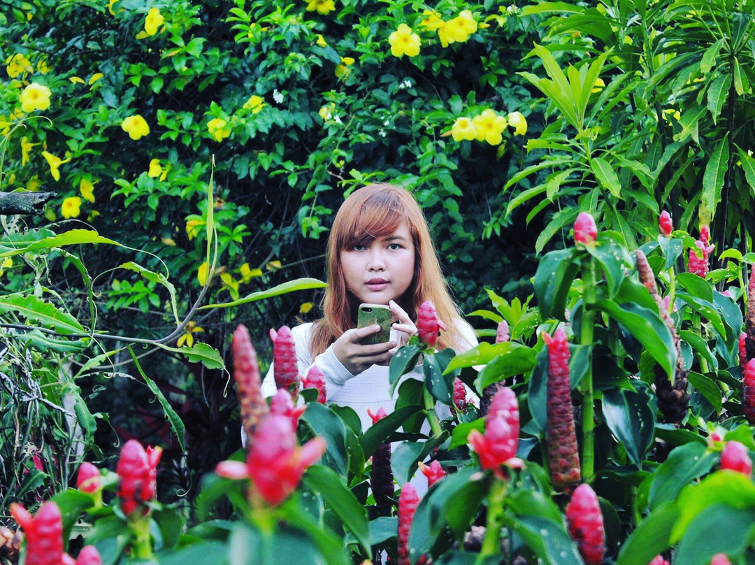 Balikpapan Botanical Garden-巴厘巴板必去景点