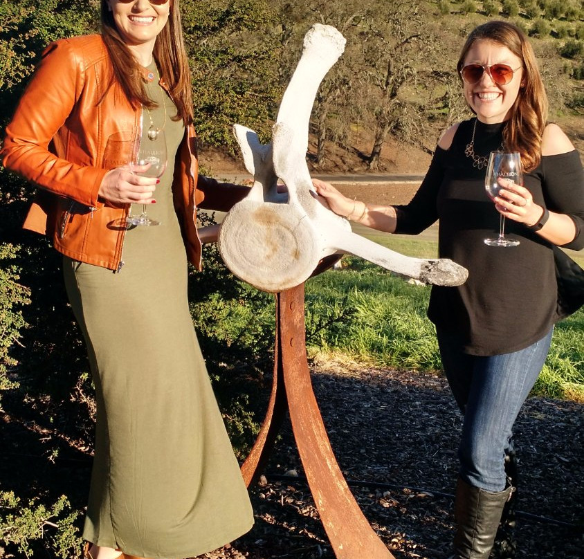 Whalebone Vineyard景点图片