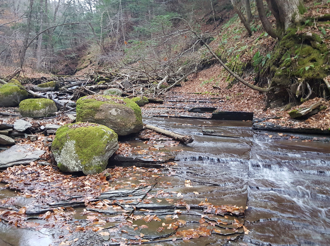 Wesley Hill Nature Preserve景点图片