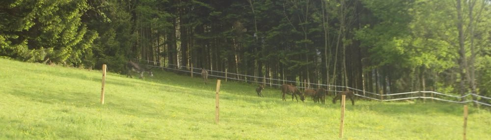 L'Ecrin de Brierat-Saint-Priest-la-Prugne必去景点