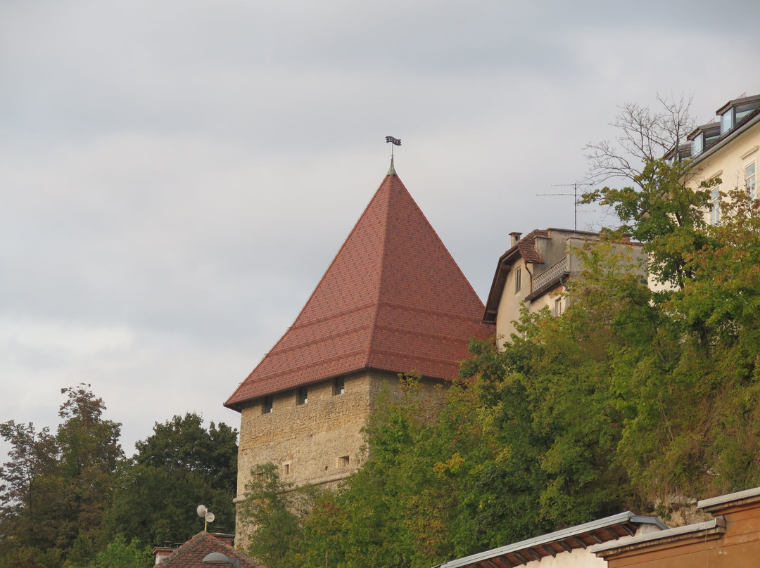 Škrlovec Tower景点图片