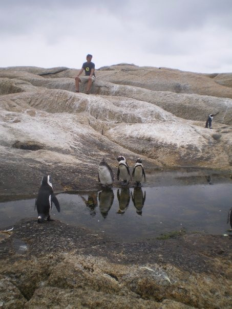 Jorvan Tours-Mitchell's Plein必去景点