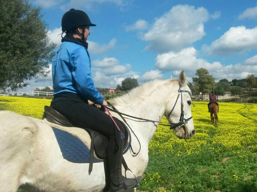 Officina Equestre