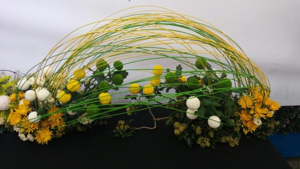 Iksan Jungang Cheyuk Park-益山市必去景点