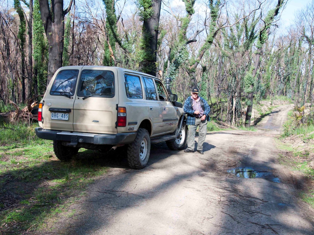 Bunyip State Park-Gembrook必去景点