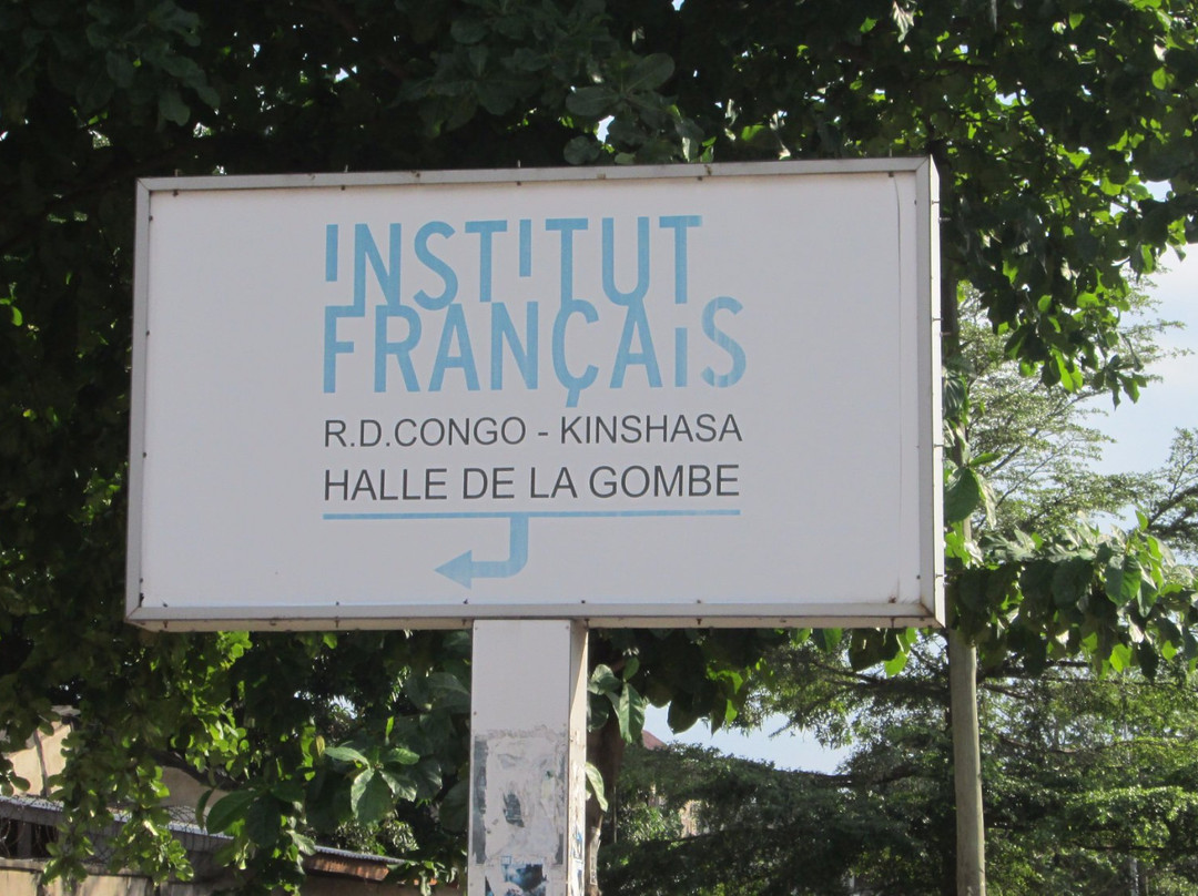 Institut francais de Kinshasa景点图片