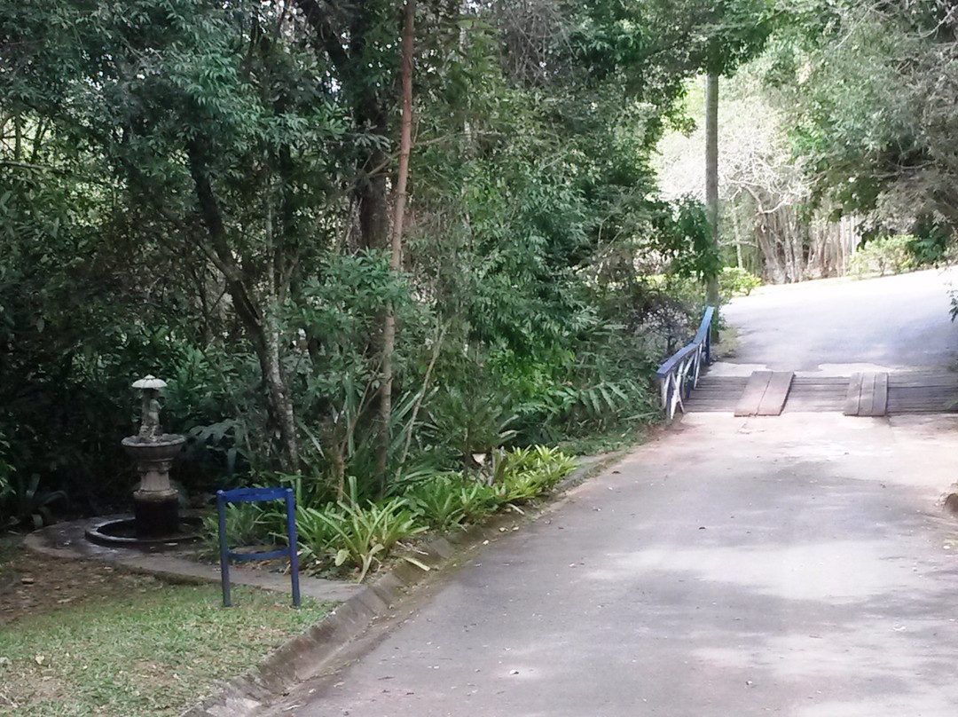 Parque Ecologico Quedas do Rio Bonito景点图片