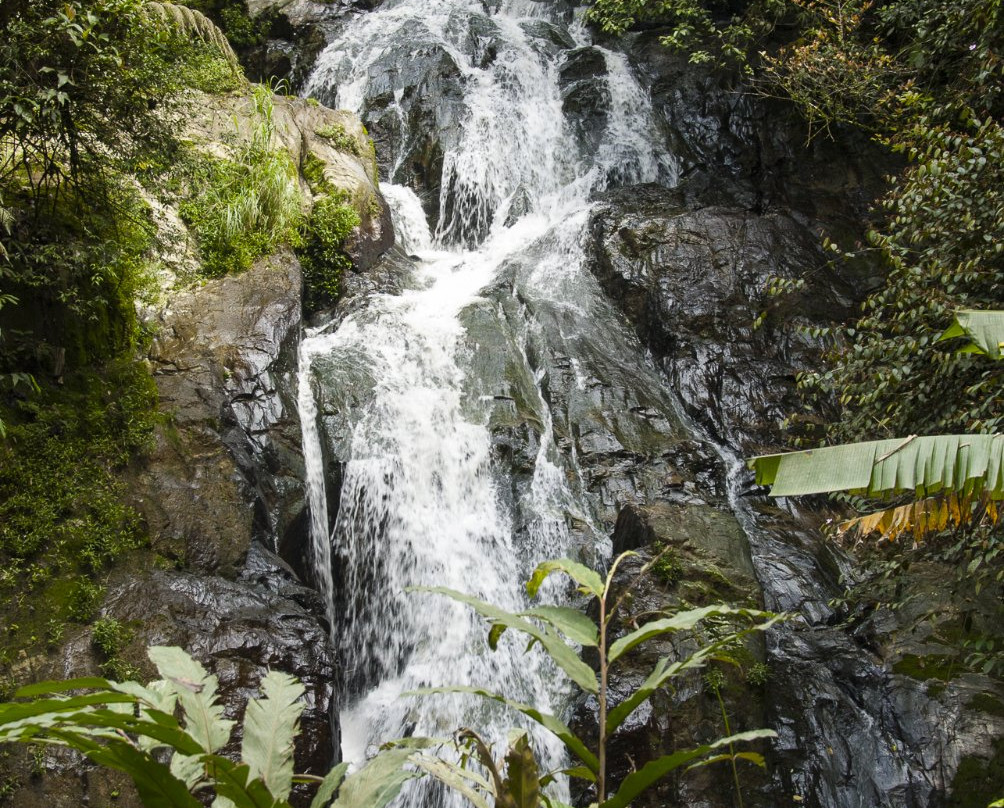 Robinson Falls景点图片