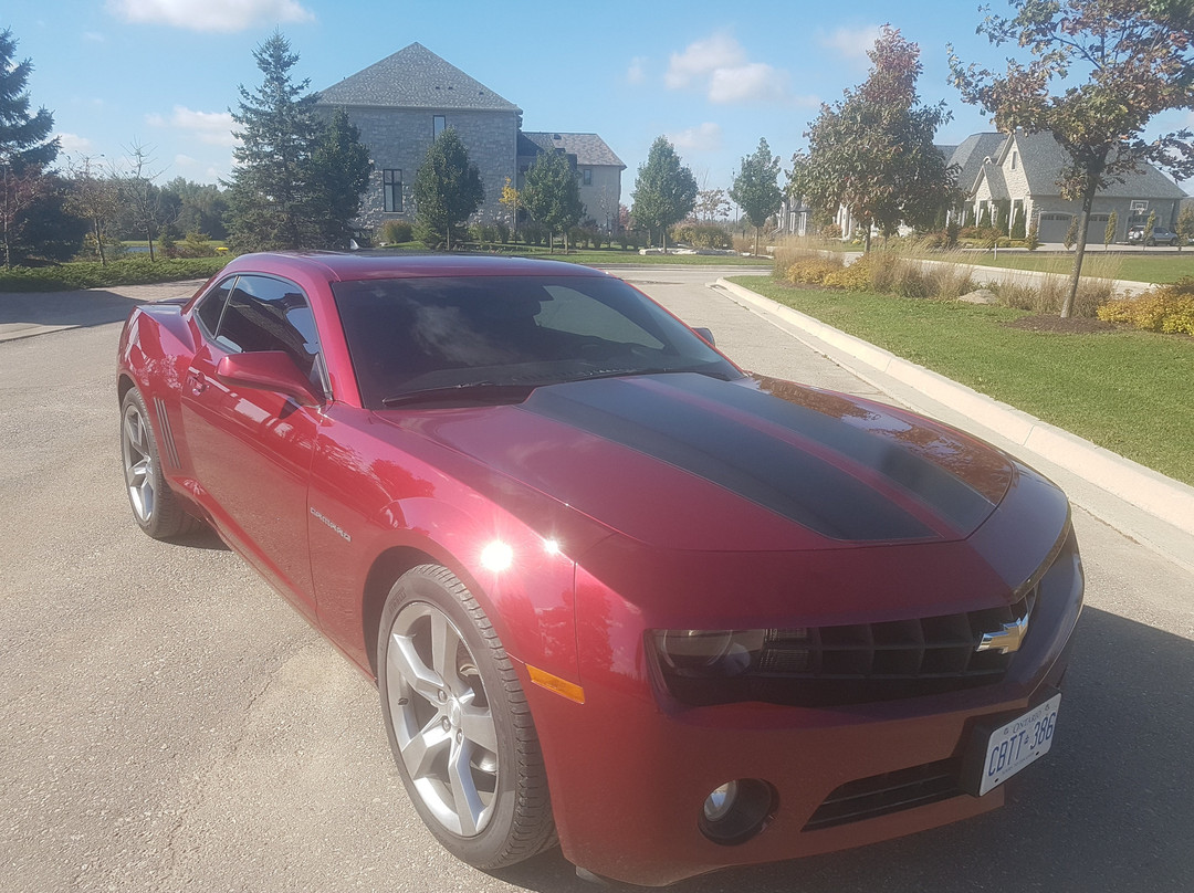 Pier 4 Park-汉密尔顿必去景点