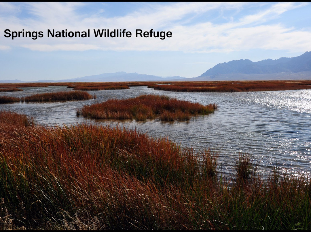 Fish Springs National Wildlife Refuge-Dugway必去景点