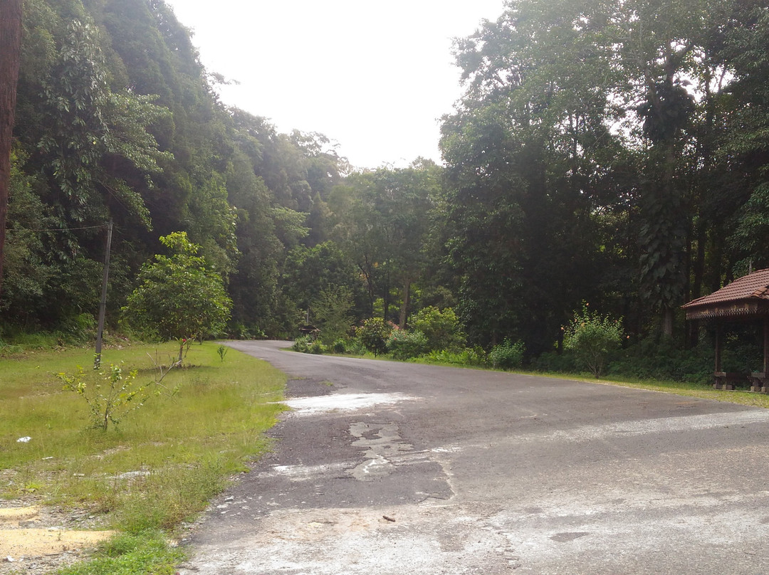 Rimba Bandar Bukit Bauk景点图片
