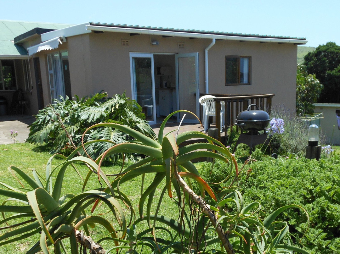 Coffee Bay酒店住宿-Gecko