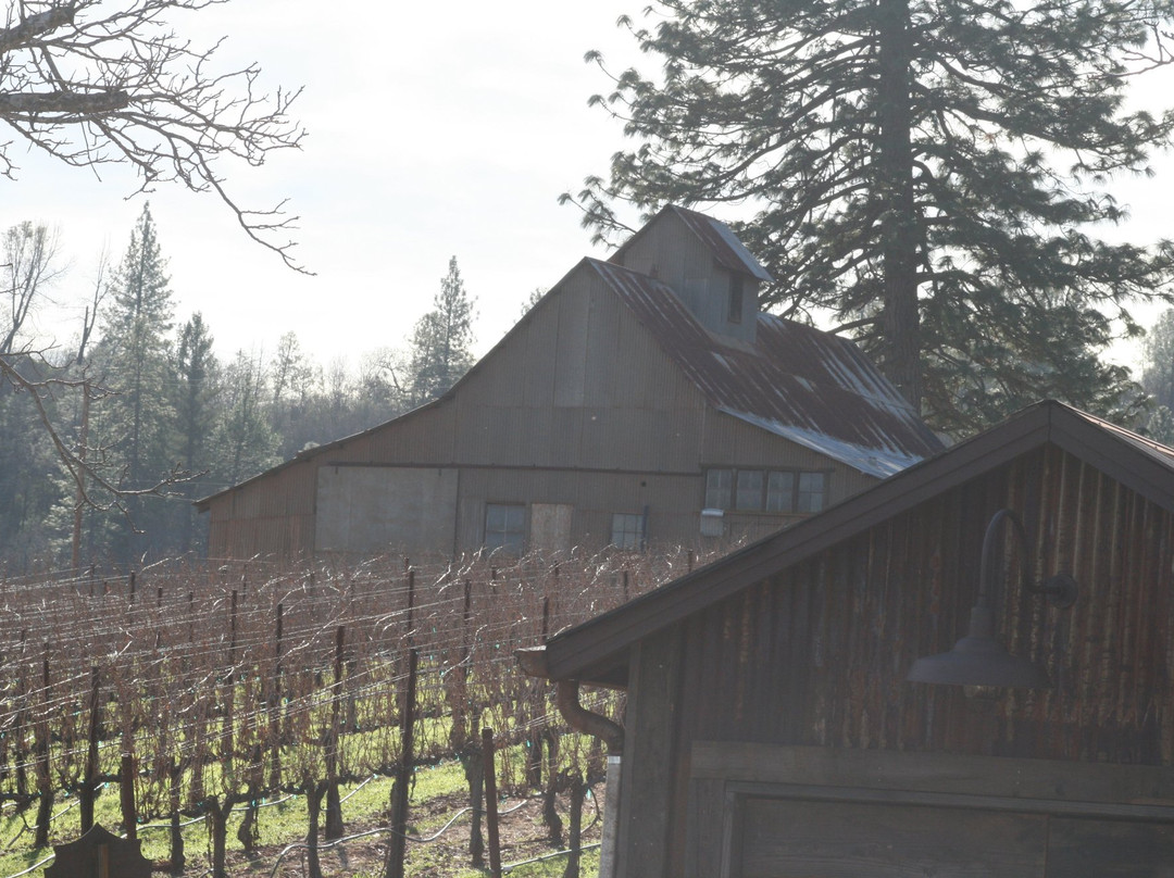 Vigilance Vineyards & Winery景点图片
