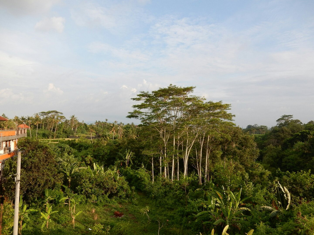 Villa Tedung River主图