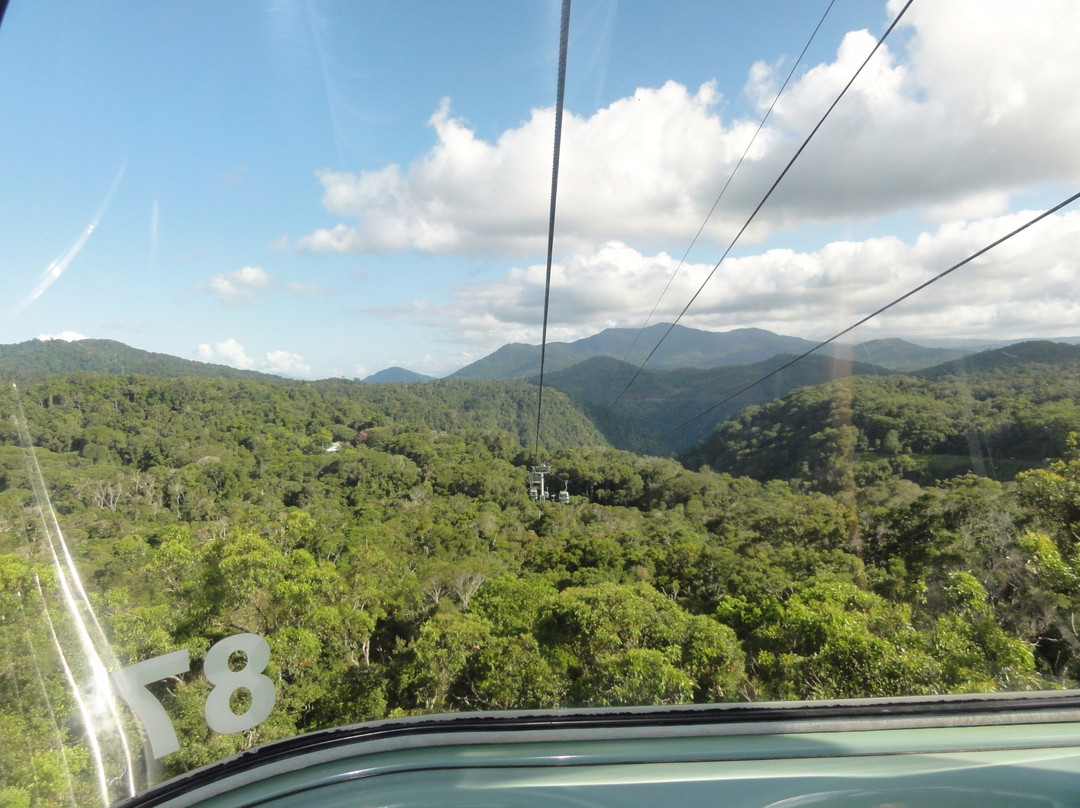 Tropic Wings Cairns Tours