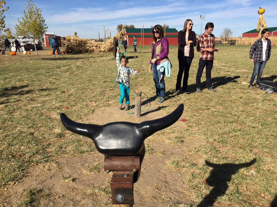 Anderson Farms-Erie必去景点