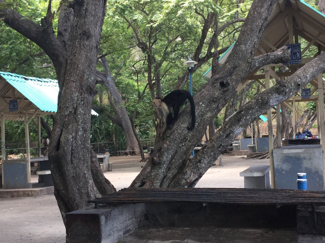 Playa Dona Ana景点图片