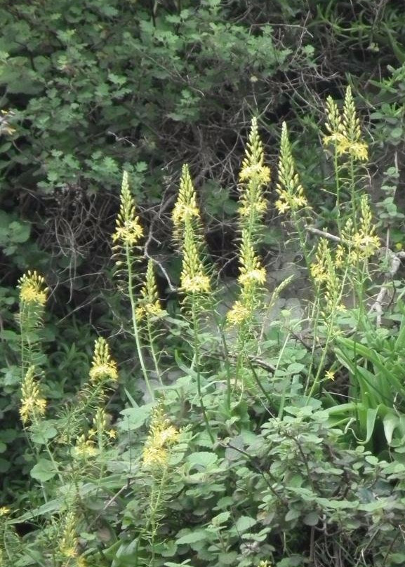Nahoon Estuary Nature Reserve-东伦敦必去景点