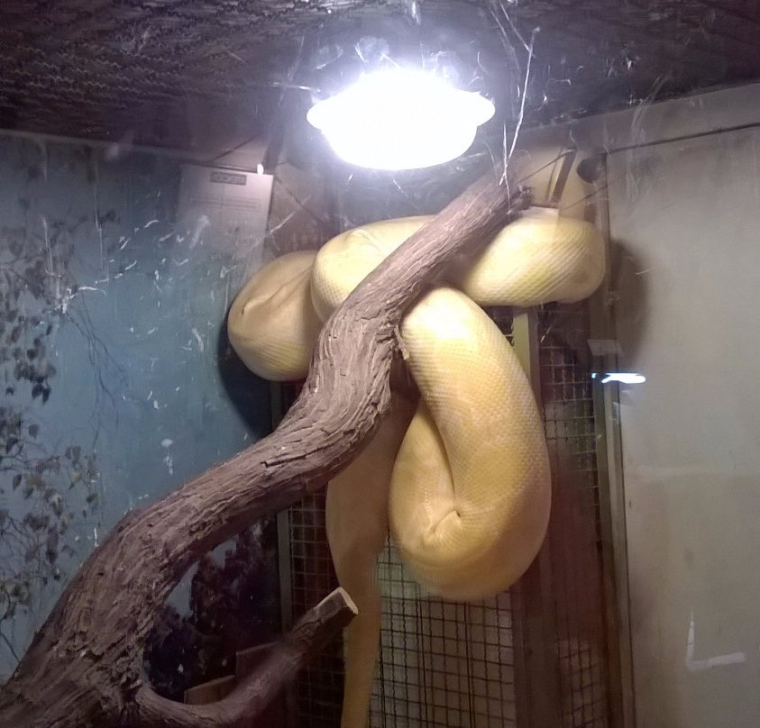 Zoologico Serpentario Mendoza景点图片