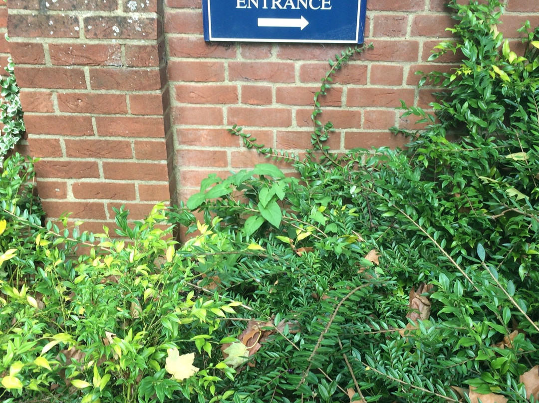 Kellogg College景点图片
