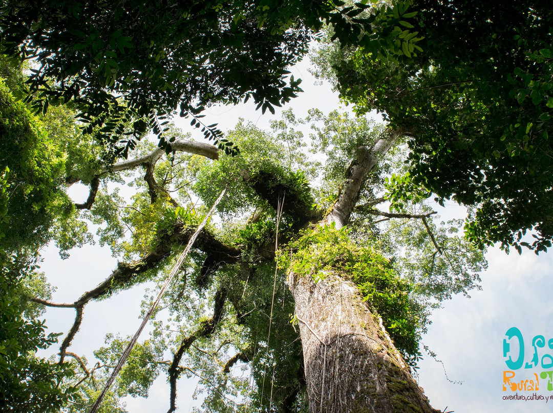 Agroforestal La Tarde景点图片