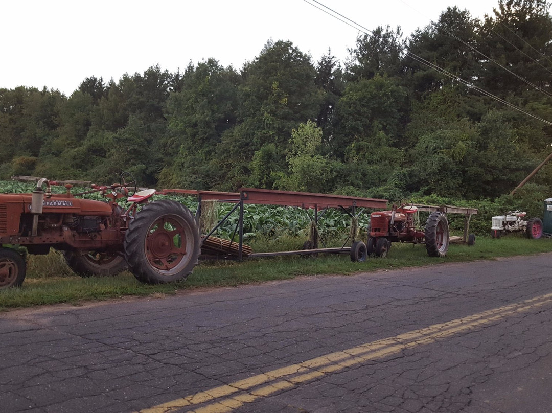 Windsor Locks Canal State Park Trail-Suffield必去景点