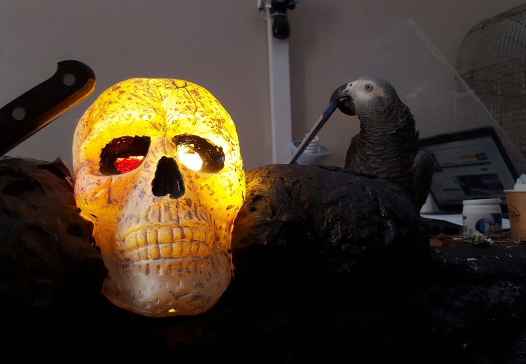 Image of a Murderer-Petah Tiqwa必去景点