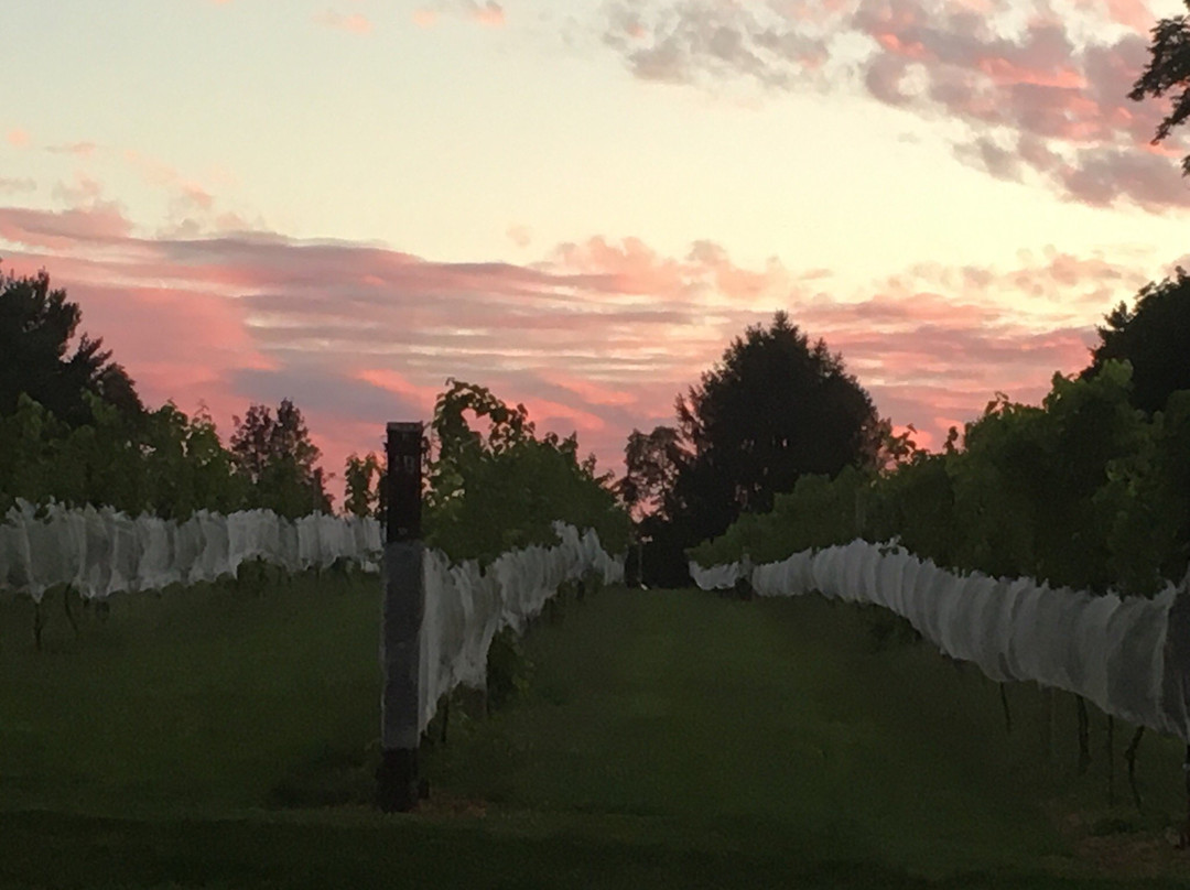 Basignani Winery-Sparks必去景点