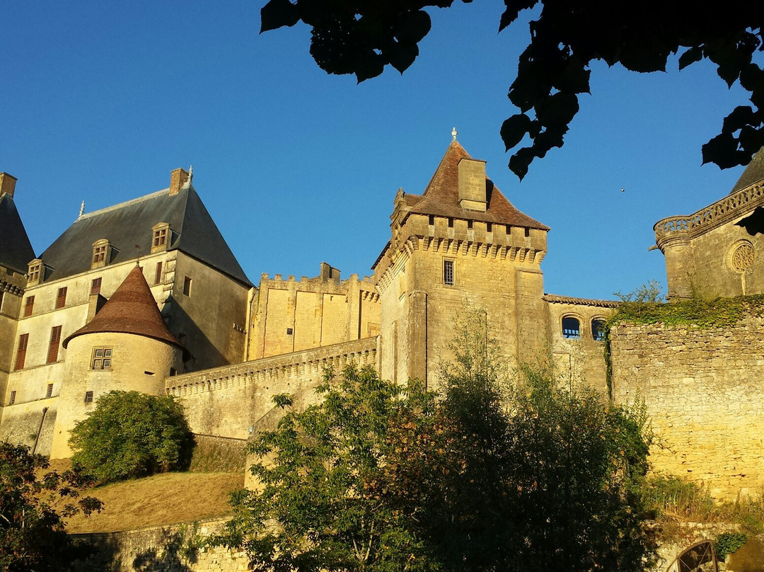 Saint-Etienne-de-Villereal旅游攻略图片